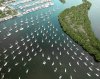 DJI_0415.jpg