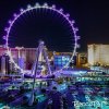 IMG_20170825_102335_314.jpg