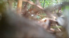 IMG 4.png