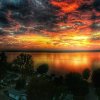 IMG_20170930_082906_387.jpg