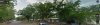 trees.jpg