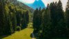 PSX_20190730_145110.jpeg