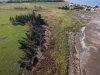4-SShore_Toppled_Trees.JPG
