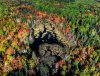 Fall_Colors_Start (1).jpg