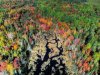 Fall_Colors_Start (2).jpg