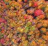 fall_colors_pei_3.jpg