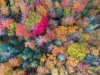 fall_colors_pei_4.jpg