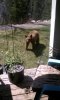 FB_IMG_1571684559694.jpg