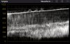 dji mavicmini footage black and white.jpg