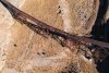 DJI_0144a.jpg