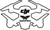 Spark Decal.jpg