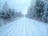 snowwoods_1.jpg