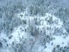 snowwoods_4.jpg