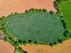 RZ-Green-Green-Grass.jpg