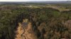 Still from Forest Flight.jpg