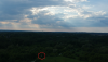 orb1.png