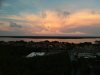PH.G.6.23.20.JPG
