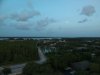 PalmHarbor.7.3.20.JPG