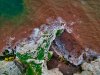 RZ-The-Shape-Of-Water.jpg