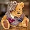 stuff bear-focus stacked.jpg