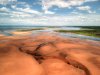 conway_sandhills_50_4.jpg