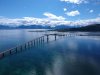 DJI_0085.JPG