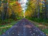 hometrail_1.jpg