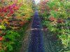 hometrail_3.jpg