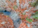 fall_blanket_1.jpg