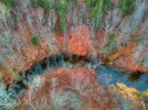 fall_blanket_2.jpg