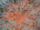 fall_blanket_3.jpg