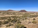 IMG_4879.jpg