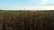 DJI_1108.JPG