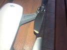 IMG_5190x.JPEG