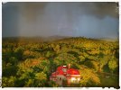DJI_0207.jpeg