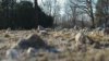 thumb_0d3c16f297fd45f4_1515187690000.jpg