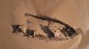 DJI_0014.JPG