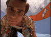 Looking In.gif