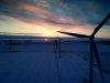 DJI_0319.JPG