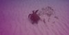 Screenshot_20180326-181808-01.jpeg