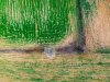 DJI_0127fs.jpg