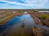 DJI_0155.jpg