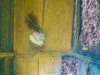 DJI_0159.jpg