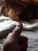 20180407_142454.jpg