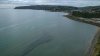 DJI_0081-01.jpeg