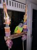 IMG_20180312_193610.jpg