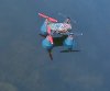 DJI MyView Jenisch Park So. morgen 3 11.jpg