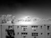 Test IR image with my 89B filter.jpg