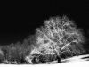 PICT2727-ed.jpg