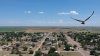 Kite3.jpg